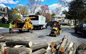 Best Firewood Processing and Delivery  in Boiling Springs, SC